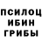 Псилоцибиновые грибы мухоморы kseet