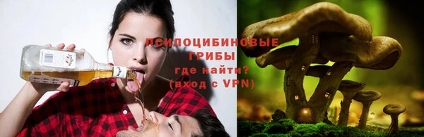 скорость mdpv Алзамай