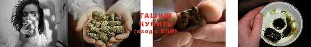 PSILOCYBIN Армянск