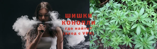 PSILOCYBIN Армянск