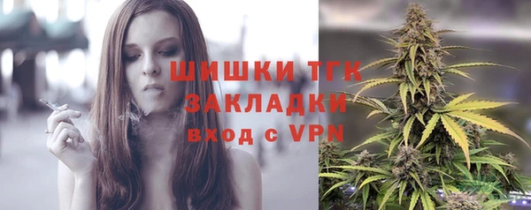 PSILOCYBIN Армянск