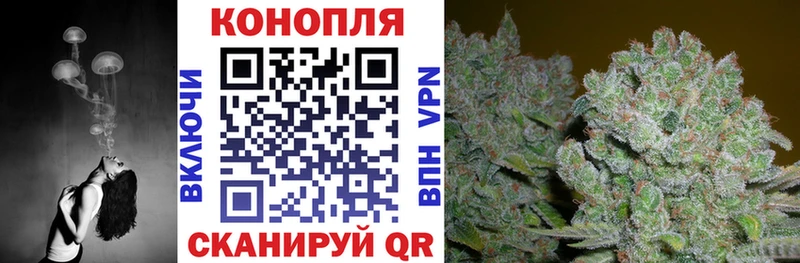 Марихуана OG Kush  Новая Ляля 